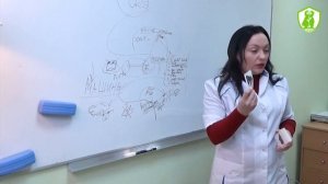 Развитие структур головного мозга у детей от 0 до 3 лет