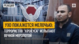 Ухо покажется мелочью: Террористов "Крокуса" испытают вечной мерзлотой