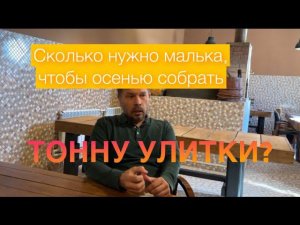 Сколько нужно малька, что бы осенью собрать тонну улитки?