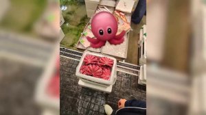 Экскурсия по самому большому рыбному рынку Японии: Вот как это выглядит!
