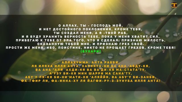 Самые лучшие дуа - дуа благодарность Аллаху за всё - Сильный дуа успеха в работе смотреть онлайн