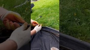Садовая дорожка своими руками ( маленькие хитрости и отличный результат)