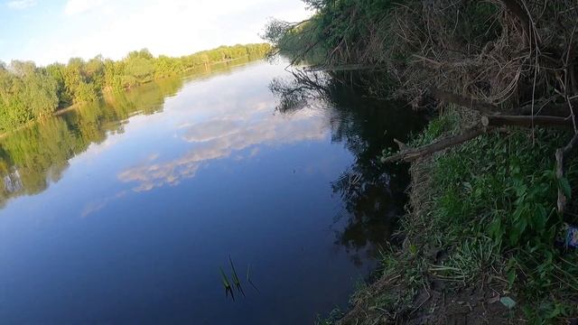 Рыбка на червя. смотреть онлайн