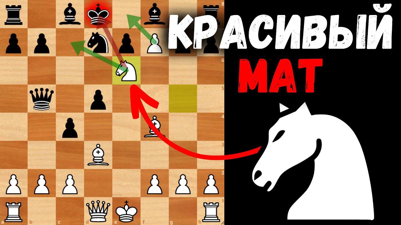 Очень красивый мат в защите Алехина! Шахматная ловушка