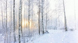 Футаж. Зимний пейзаж 88