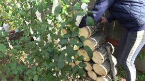 6 соток 13 октября 2023 Хроника