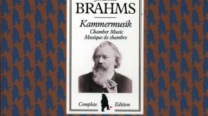 Brahms: String Quartet No. 2 in A minor, Op. 51 No. 2 - 4. Finale (Allegro non assai - Più vivace)