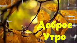 Доброе Утро! Самое Красивое Пожелание!