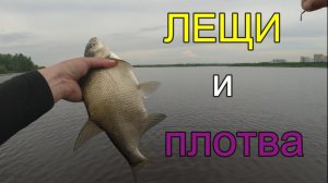 #мормышинг | Плотва, лещи | CF Sub Zero |