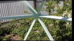 Купольная теплица своими руками, сборка из сосновой рейки 20х40мм