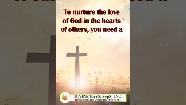 Nurture the love of God in the hearts of Others| DIVINE RAYS || SSpS INC