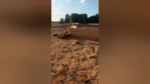 Баня под усадку 5*6 лапа кругляк работа в июле 2024