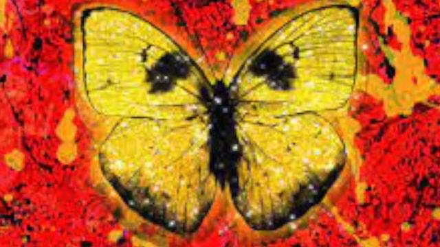 Shivers Cover Sarah смотреть онлайн