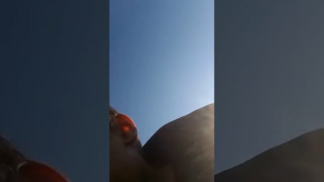 Рыбалка в частном пруду смотреть онлайн