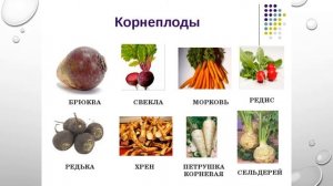 Видоизменение корней