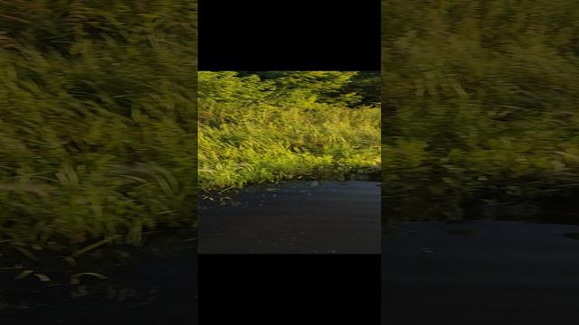 потоп