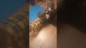 У Игоря понос!!!