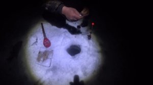 РЫБАЛКА НА ОБИ.ДУПЛЕТЫ ,ТРОЙНЫЕ ДУПЛЕТЫ ЛЕЩЕЙ.РЫБАЛКА НА КОМБАЙНЫ ЗИМОЙ.ОТКРЫЛСЯ ПО РЫБЕ