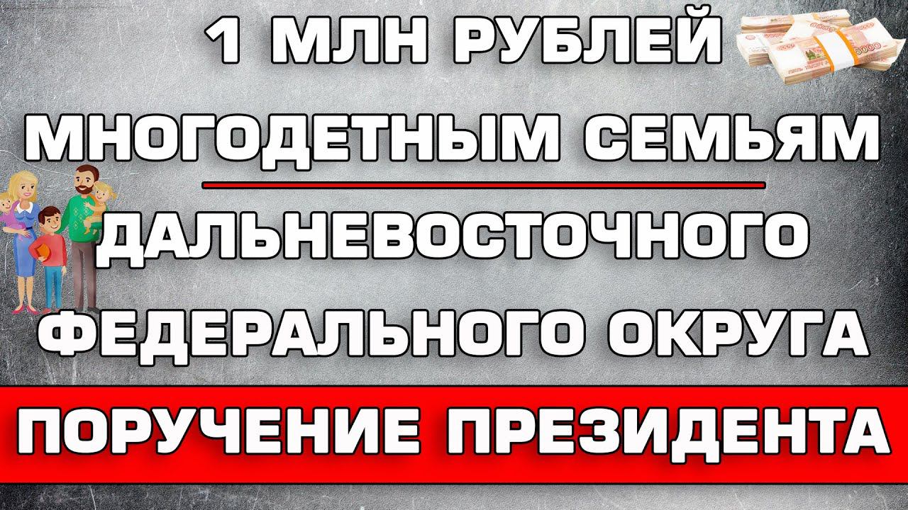 Миллион многодетным. Поддержка многодетных семей. Семья с тремя детьми. Пособия на детей. Семья россия.
