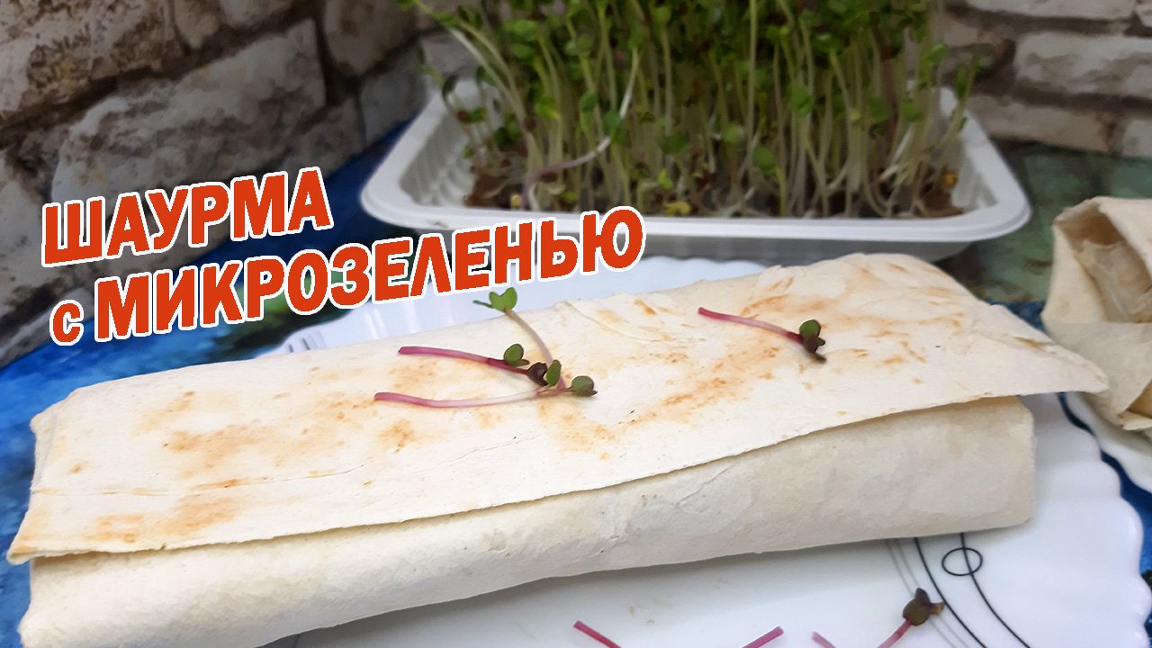 Картинки с микрозеленью