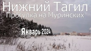 Прогулка пенсионера, по январскому лесу. Муринские пруды. Нижний Тагил.