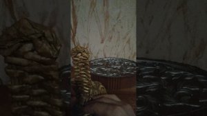 Грядущий царь.. Ждать ещё 5 лет.