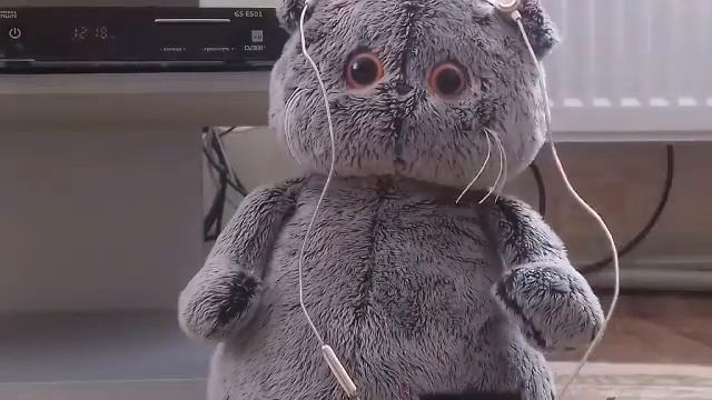 Кот Басик: Реакция на мои песни 