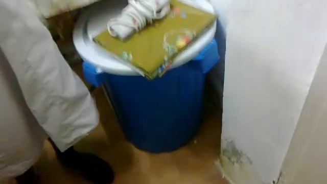 нашествие грызунов