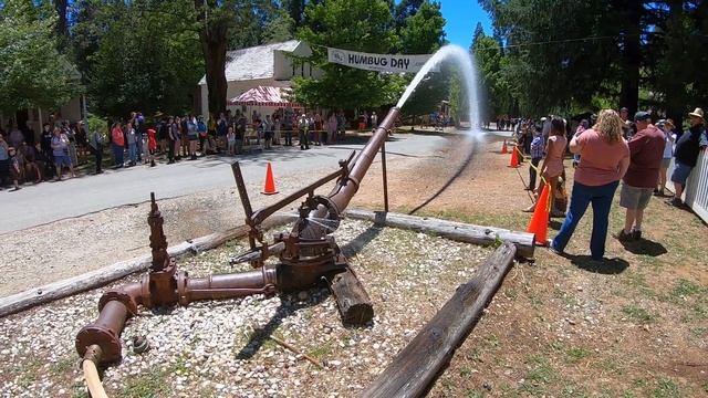 HUMBUG DAY WATER MONITOR  6-8-2019  MALAKOFF DIGGINS STATE HISTORIC PARK _ John Field смотреть онлайн