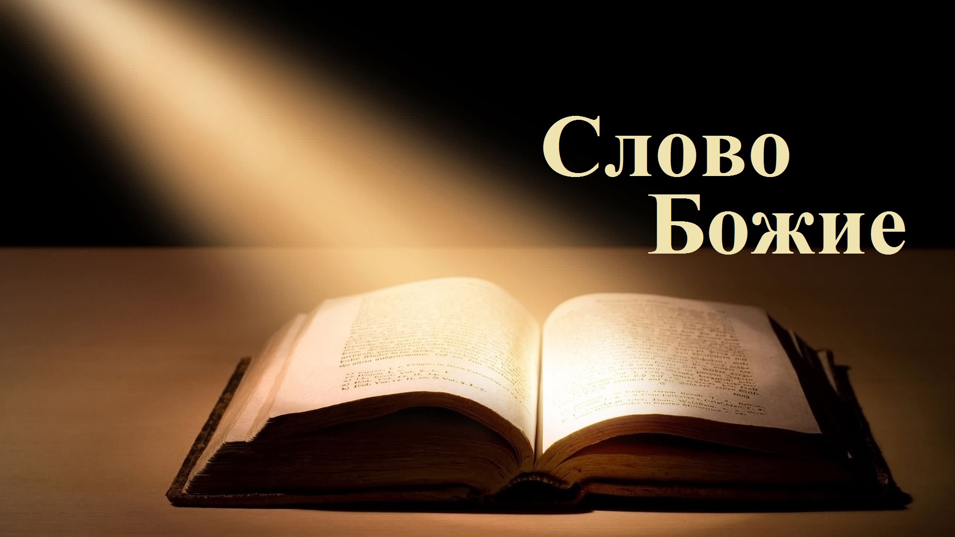 Жить по Писанию.. (Александр Войтухов)