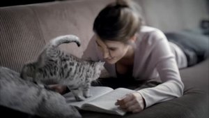 Whiskas® для котят - Где мама?