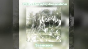 𝙎𝙏𝙀𝙇𝙇𝘼, 𝙏𝙤𝙠𝙮𝙤𝘽𝙤𝙮 𝙙𝙧𝙚𝙖𝙢𝙘𝙖𝙩𝙘𝙝𝙚𝙧-Зависима