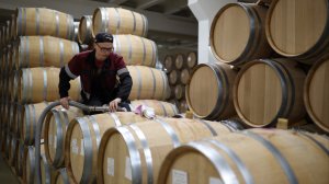 Легко, свежо и вкусно: крымские вина представили оригинальные летние коктейли на фестивале в Сочи