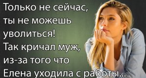 Только не сейчас, ты не можешь уволиться! Так кричал муж, за-за того что Елена уходила с работы...