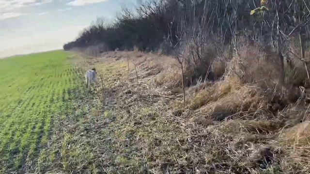 РПГ Валдай гон шакала смотреть онлайн