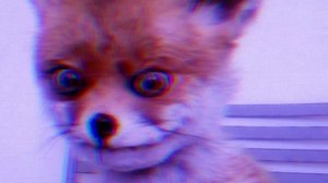 Страдания Хантера | World of Warcraft