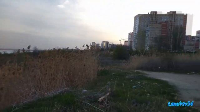Берег Волги. Ворошиловский район #Волгоград #Волга