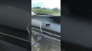 deaf bonce apocalypse 15” 4 db-sa275 PRIUS 6000watt