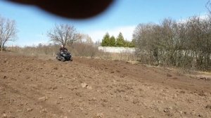 Синяк под фацелию и донник. Очень короткий обзор посадки медоносов на пасеке. Есть маты 18+.