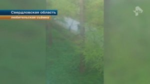 Пьяная мать избивает малолетнего сына