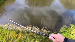 Плавающий Легендарный DUO Realis Jerkbait от WALK FISH!!! Воблеры с Алиэкспрэсс. Воблер на щуку.