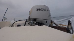 Test Honda BF 40