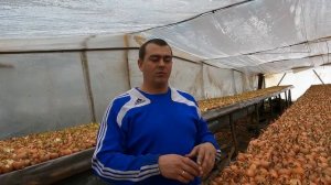 СЕКРЕТ РАСКРЫТ - ПОЧЕМУ РАСТЕТ ТОНКОЕ ПЕРО НА ЛУКЕ.mp4