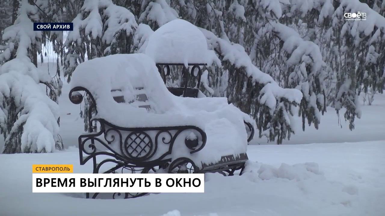 Выглянуло время. Лоны природы вайб путешествия. Цветы в лучах солнца. Мы слишком много времени торчим в комнатах. Выглянуло время.