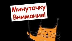 Как подключить микрофон BM800 к компьютеру через внешнюю звуковую карту Behringer U-PHORIA UMC22