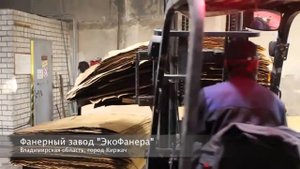 Фанерный завод "ЭкоФанера" Линия производства