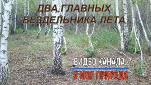 Два главных бездельника лета