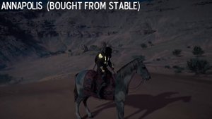 Assassin's Creed Origins All Mounts / All Chariots SHOWCASE