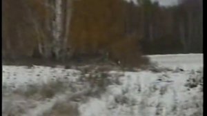 Охота на Сибирскую косулю в Курганской области 10.2004