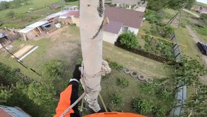 Удаление дерева арбористом. Иваново